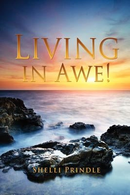 Living in Awe! by Prindle, Shelli