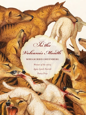 In the Volcano's Mouth by Greenberg, Miriam Bird