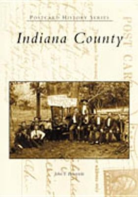Indiana County by Busovicki, John F.