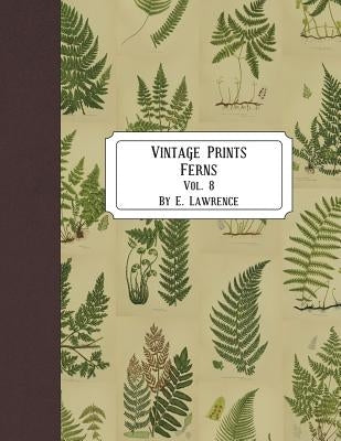 Vintage Prints: Ferns: Vol. 8 by Lawrence, E.