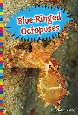 Blue-Ringed Octopuses by Raum, Elizabeth