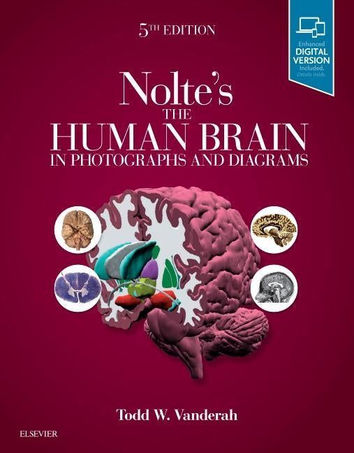 Nolte's the Human Brain in Photographs and Diagrams by Vanderah, Todd