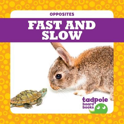 Fast and Slow by Donner, Erica