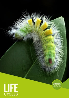 Life Cycles by Jones, Grace