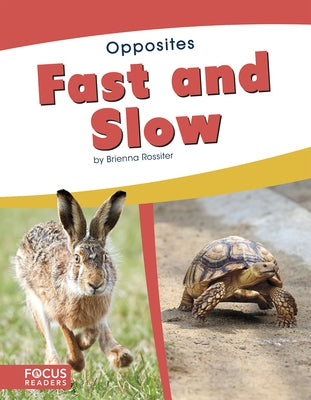 Fast and Slow by Rossiter, Brienna