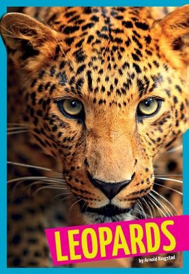 Leopards by Ringstad, Arnold