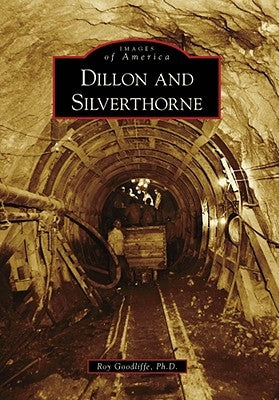 Dillon and Silverthorne by Goodliffe Ph. D., Roy
