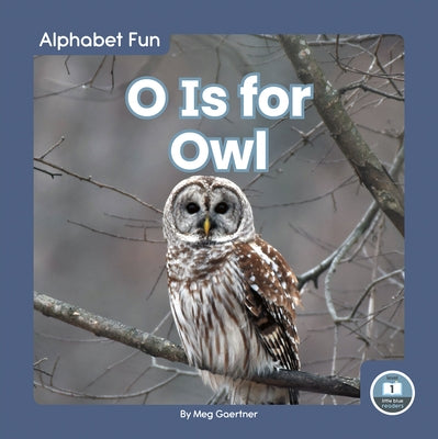 O Is for Owl by Gaertner, Meg
