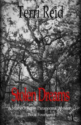 Stolen Dreams - A Mary O'Reilly Paranormal Mystery - Book Fourteen by Reid, Terri