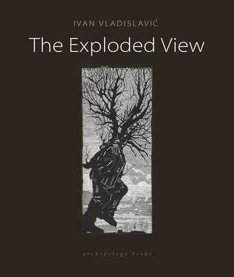 The Exploded View by Vladislavic, Ivan