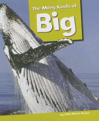 The Many Kinds of Big by Bryan, Dale-Marie