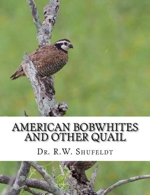American Bobwhites and Other Quail by Chambers, Jackson