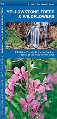 Yellowstone Trees & Wildflowers: A Folding Pocket Guide to Familiar Plants of the Yellowstone Area by Kavanagh, James