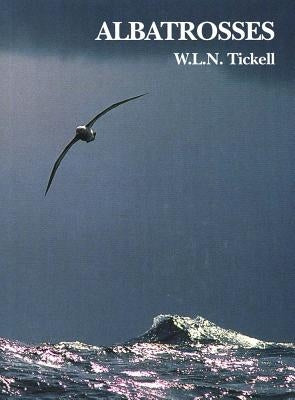 Albatrosses by Tickell, W. L. N.