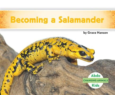Becoming a Salamander by Hansen, Grace