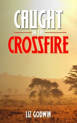 Caught in the Crossfire by Godwin, Liz