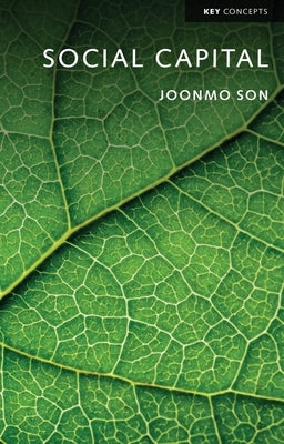 Social Capital by Son, Joonmo