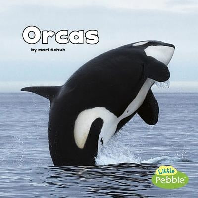 Orcas by Schuh, Mari