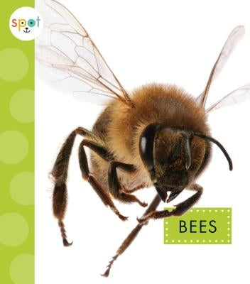 Bees by Black, Nessa