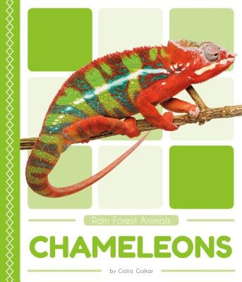 Chameleons by Golkar, Golriz