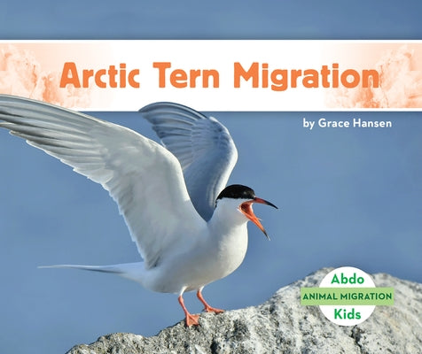 Arctic Tern Migration by Hansen, Grace