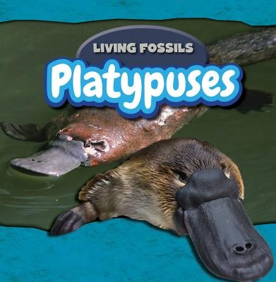 Platypuses by McAneney, Caitie