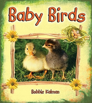 Baby Birds by Kalman, Bobbie