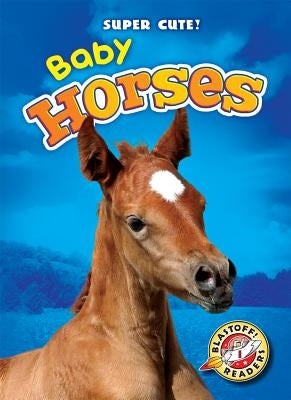 Baby Horses by Olson, Bethany