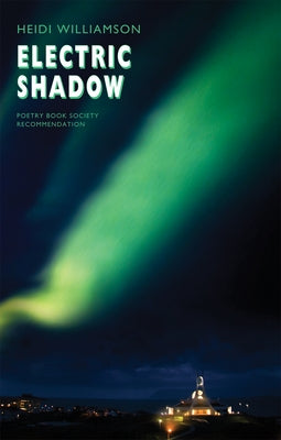 Electric Shadow by Williamson, Heidi
