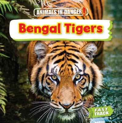 Bengal Tigers by Dickmann, Nancy