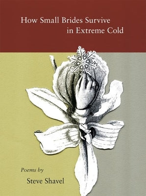 How Small Brides Survive in Extreme Cold by Shavel, Steve