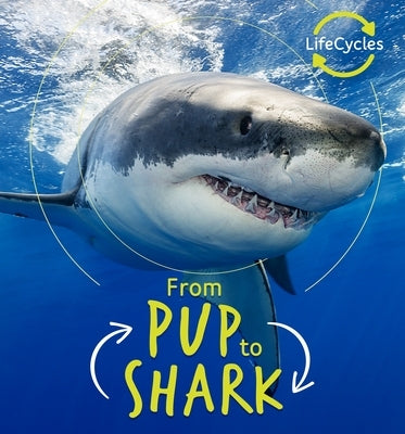 From Pup to Shark by De La Bedoyere, Camilla