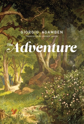 The Adventure by Agamben, Giorgio
