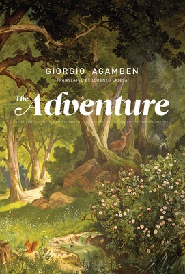 The Adventure by Agamben, Giorgio