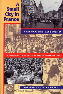 A Small City in France by Gaspard, Francoise