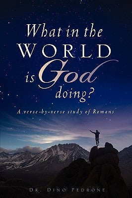 What in the World Is God Doing? by Pedrone, Dino