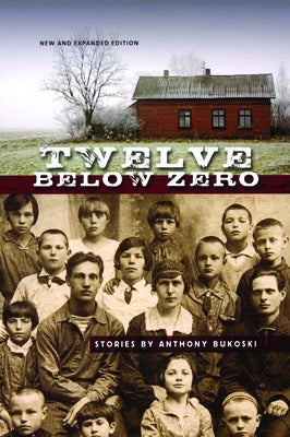 Twelve Below Zero by Bukoski, Anthony