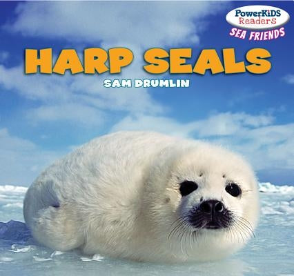 Harp Seals by Drumlin, Sam