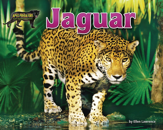 Jaguar by Lawrence, Ellen