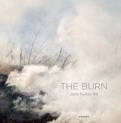 The Burn by Fulton Alt, Jane