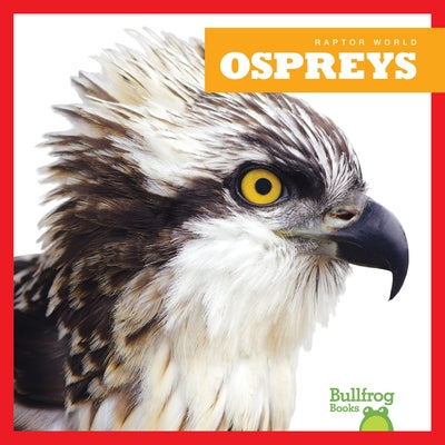 Ospreys by Lee Gleisner, Jenna