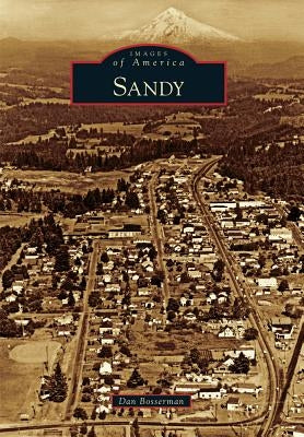 Sandy by Bosserman, Dan