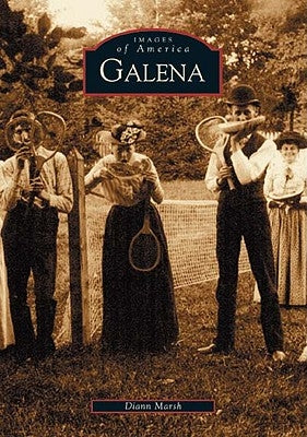 Galena, Illinois by Marsh, DiAnn