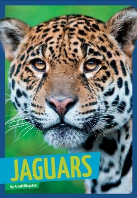 Jaguars by Ringstad, Arnold