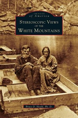 Stereoscopic View of the White Mountains by Heald, Bruce D.