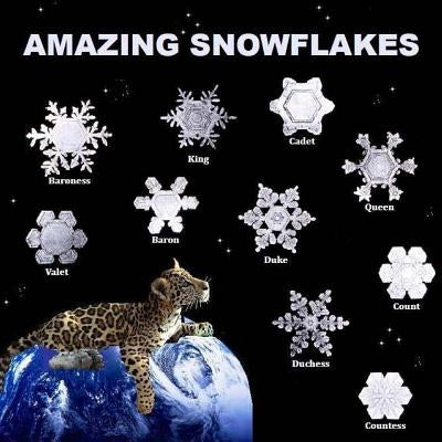 Amazing Snowflakes by Matevosyan, Naira