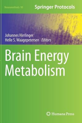 Brain Energy Metabolism by Hirrlinger, Johannes