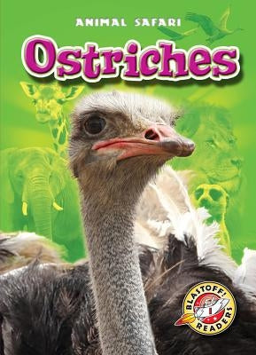Ostriches by Schuetz, Kari