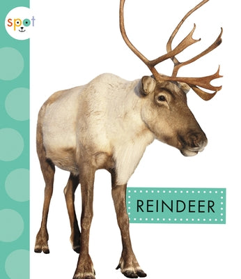 Reindeer by Suen, Anastasia