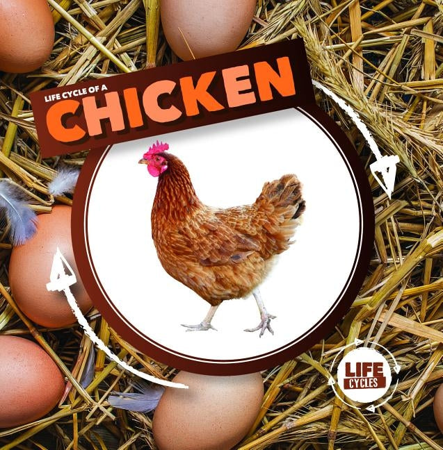 Life Cycle of a Chicken by Holmes, Kirsty